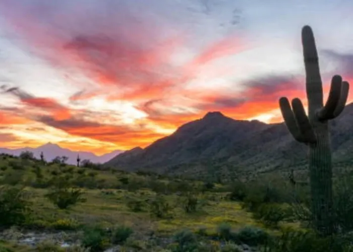 Luxe Getaway Near Essential Amenities & Mountain Views * Phoenix